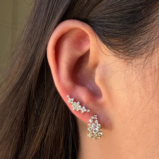 Bloom Ear Crawler Lifestyle
