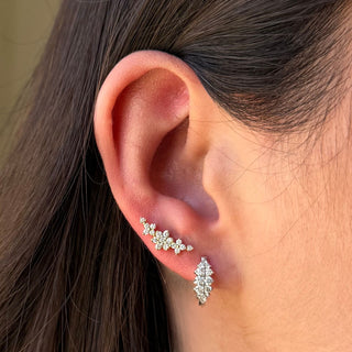 Bloom Ear Crawler Lifestyle
