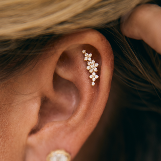 Bloom Ear Crawler
