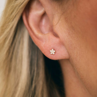 Bloom Stud
