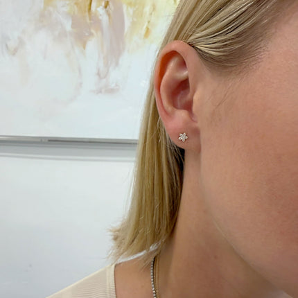 Bloom stud2