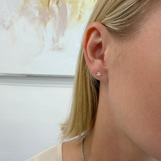 Bloom stud2
