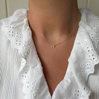 ButterflyNecklace1
