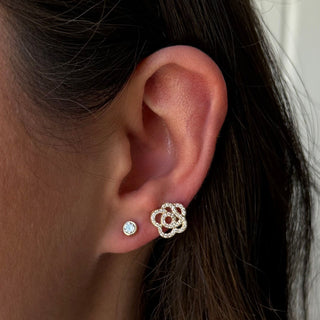 Diamond Rose Stud Lifestyle 
