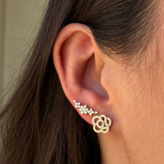 Diamond Rose Stud Lifestyle 
