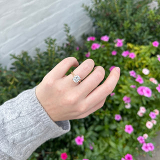 Elongated Solitaire Cushion Cut With Hidden Diamond Halo Lifestyle 4
