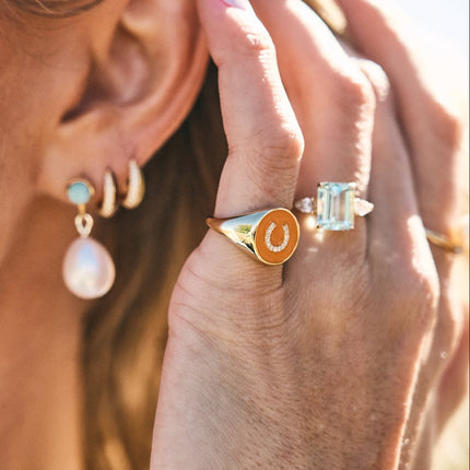 Enamel Horseshoe Signet Ring Lifestyle 4