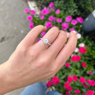 Lindsey Leigh Jewelry Round Diamond Solitaire on Diamond Band
