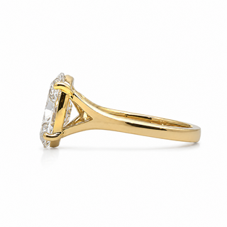 Oval Split shank
