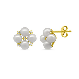 Diamond and Pearl Cluster Studs
