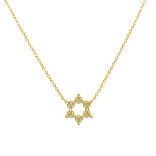 Bezel Diamond Star of David Necklace  Lindsey Leigh Jewelry.
