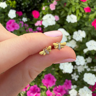 dragonfly studs

