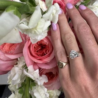 Heart Cut Solitaire  Lindsey Leigh Jewelry.
