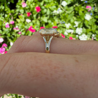 oval split shank
