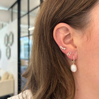Diamond Zodiac Stud  Lindsey Leigh Jewelry.

