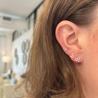 Diamond Zodiac Stud  Lindsey Leigh Jewelry.
