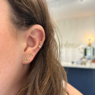 Gold Zodiac Stud  Lindsey Leigh Jewelry.
