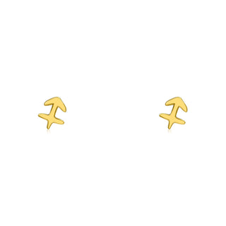 Gold Zodiac Stud  Lindsey Leigh Jewelry.

