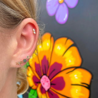 Pave Dragonfly Studs  Lindsey Leigh Jewelry.
