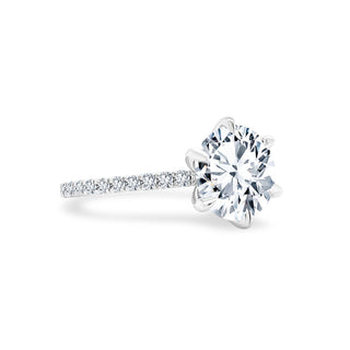 Round Solitiare on Diamond Band  Lindsey Leigh Jewelry.
