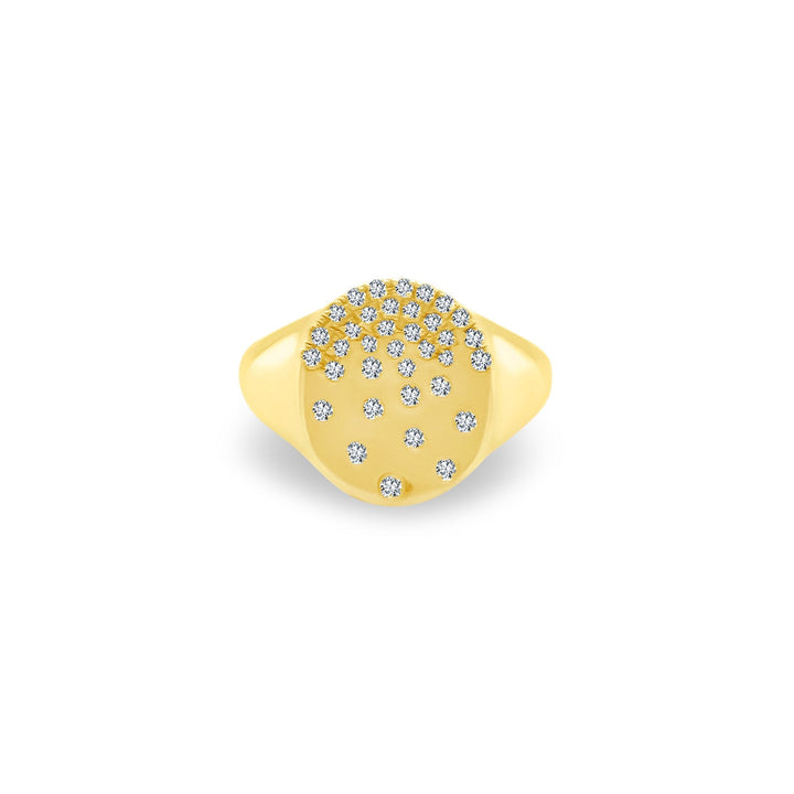 Scattered Pave Signet Ring - Lindsey Leigh Jewelry