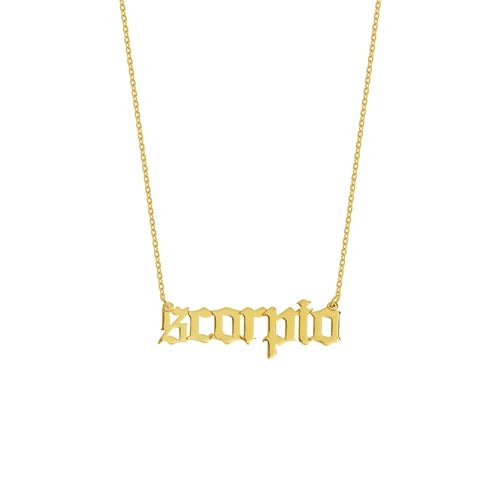 Zodiac Nameplate Necklace - Lindsey Leigh Jewelry